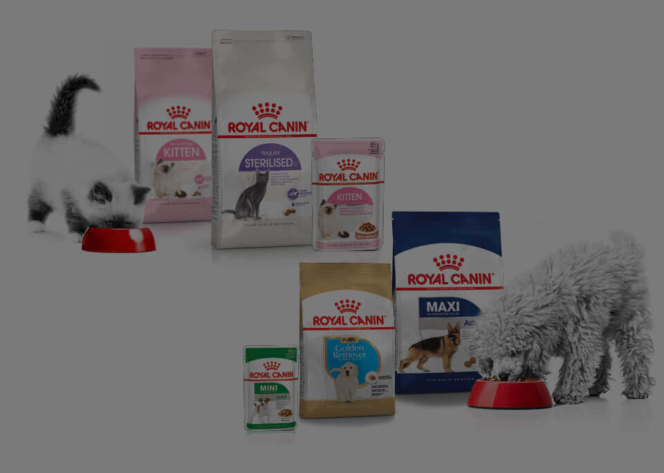 Prime Royal Canin Kampanyası